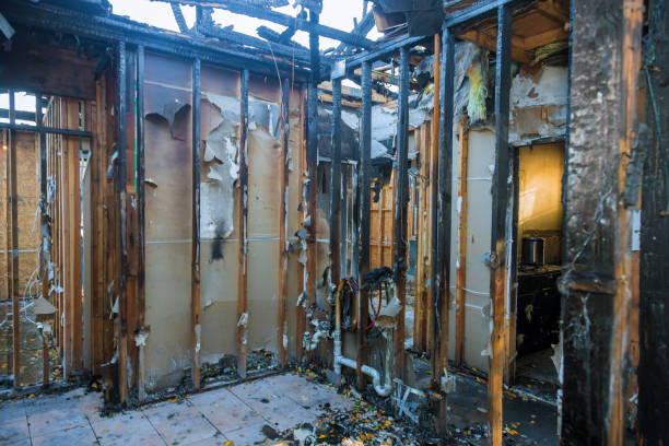 Professional Fire Damage Removal technician working in Damascus, MD